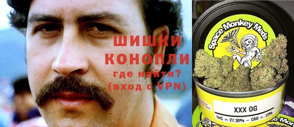 мдпв Волосово