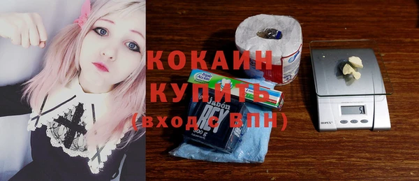шишки Ахтубинск
