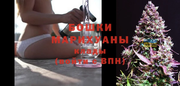 мдпв Волосово
