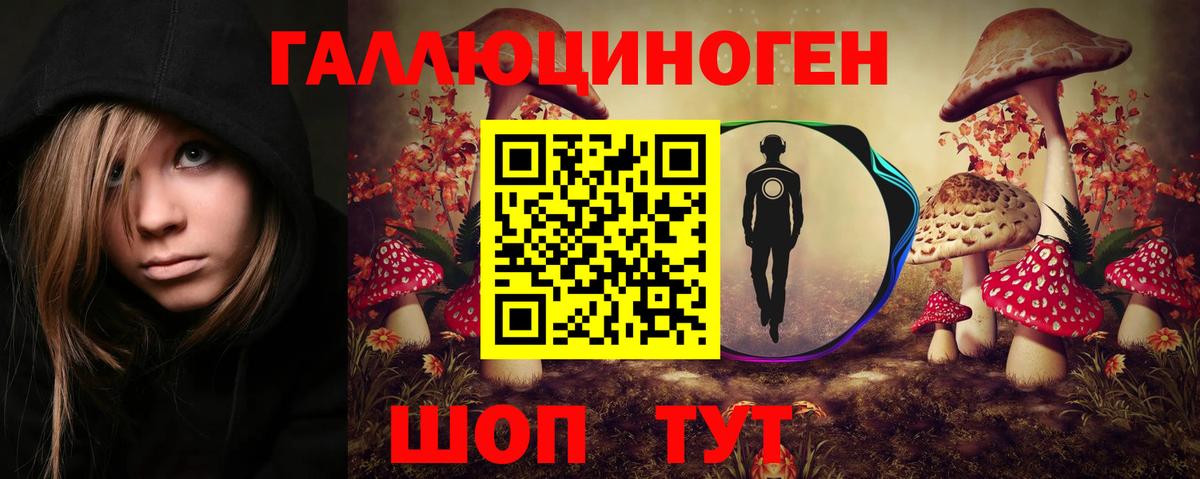 Елец  где купить   Вход с VPN  Галлюциногенные грибы GOLDEN TEACHER 